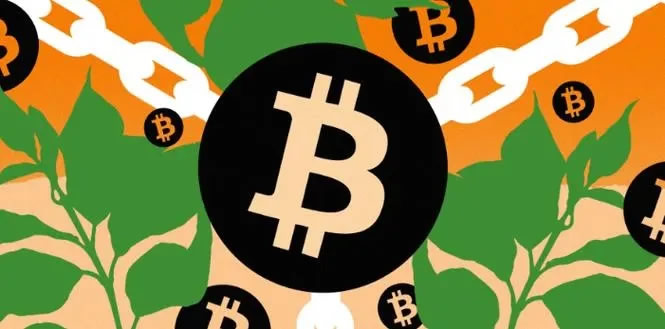 一文彻底搞懂有币区块链和无币区块链的区别