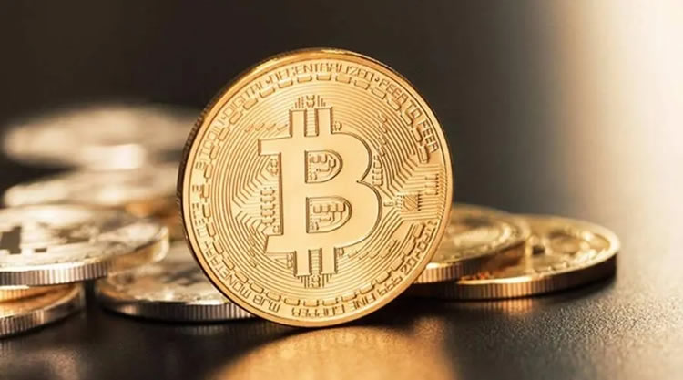 2024最有潜力的公链百倍币前十汇总介绍
