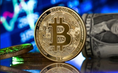 目前公链都有什么币？2024年热门公链币前十盘点