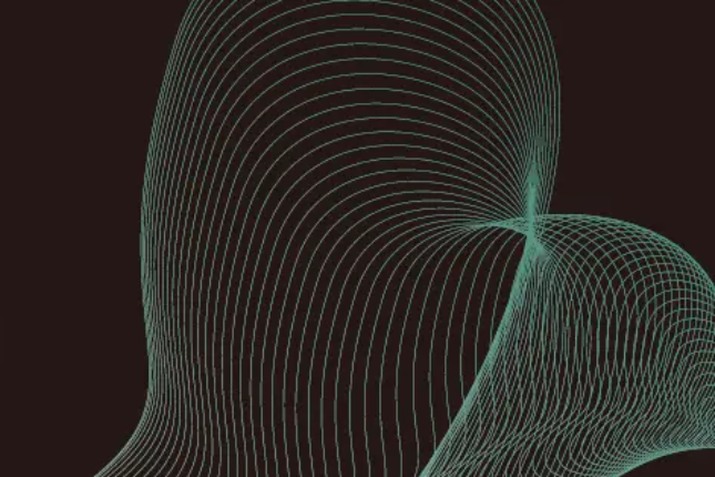 狗狗币销毁：开启数字货币生态新纪元