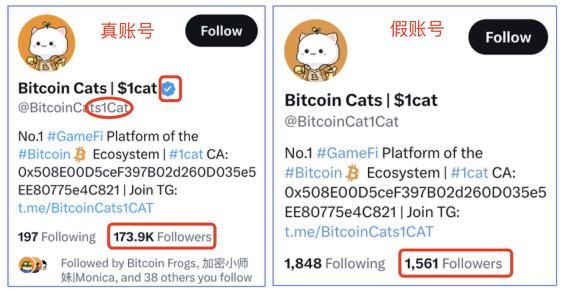 USDT钱包注册 看usdt价格那个软件好？