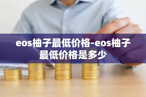 排名前二十的主流币 主流数字货币前20排名巨头争霸