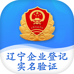 辽宁企业登记实名验证安卓版