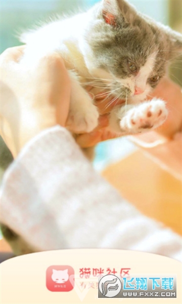 新版猫社区官方免费下载安卓版