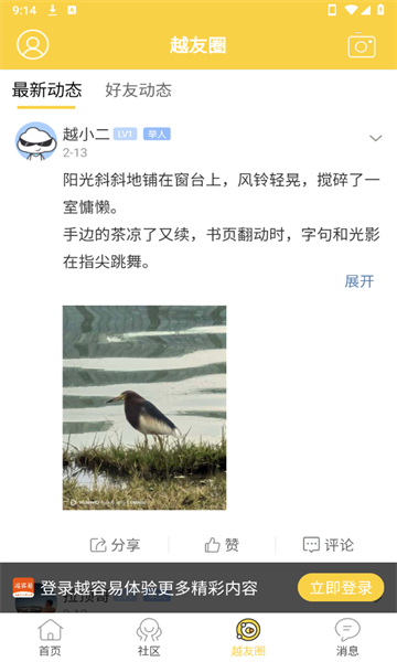 越容易最新版