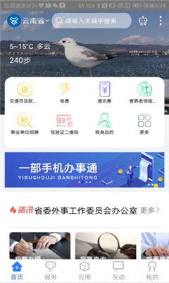 云南一部手机办事通官方版