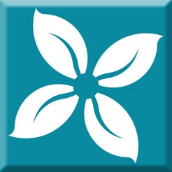 新商盟最新订货平台软件