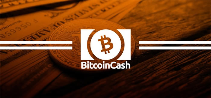 BCH科普:比特现金（BCH）钱包对接流程