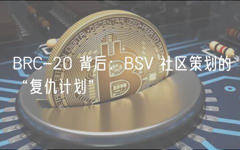 BRC-20 背后：BSV 社区策划的“复仇计划”