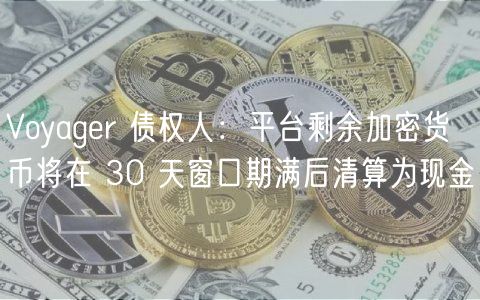 Voyagr 债权人：平台剩余加密货币将在 30 天窗口期满后清算为现金