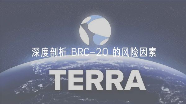 深度剖析 BRC-20 的风险因素