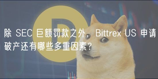 除 SC 巨额罚款之外，Bittr US 申请破产还有哪些多重因素？