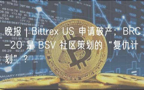 晚报｜Bittr US 申请破产；BRC-20 是 BSV 社区策划的“复仇计划”？