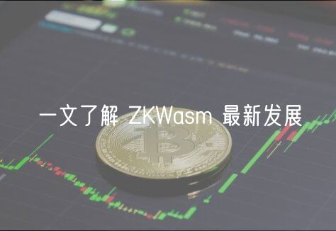 一文了解 ZKWasm 最新发展