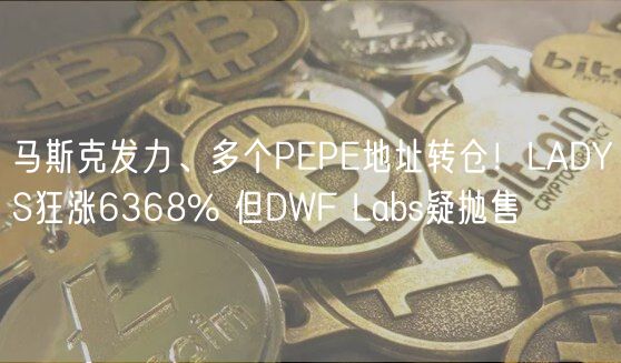 马斯克发力、多个PP地址转仓！LADYS狂涨6368% 但DWF Labs疑抛售