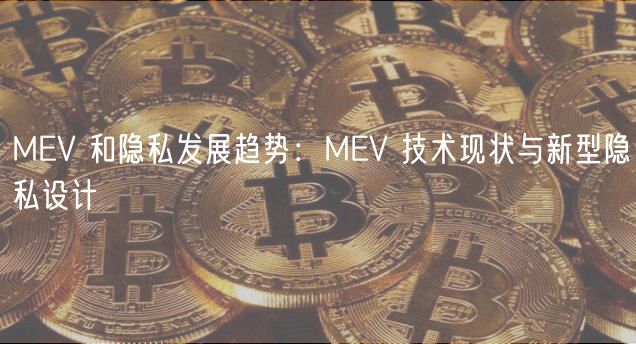 MV 和隐私发展趋势：MV 技术现状与新型隐私设计
