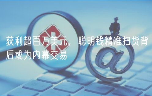 获利超百万美元，聪明钱精准扫货背后或为内幕交易