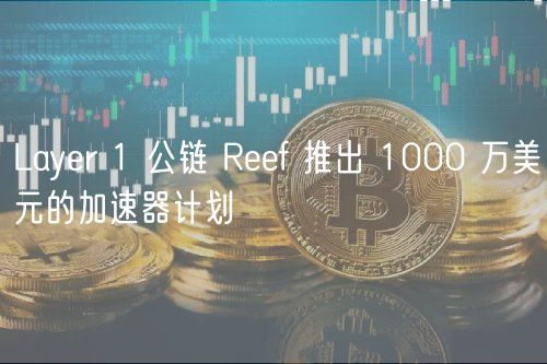 Layr 1 公链 Rf 推出 1000 万美元的加速器计划