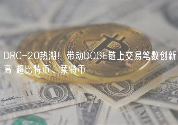 DRC-20热潮！带动DOG链上交易笔数创新高 超比特币、莱特币