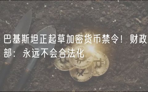 巴基斯坦正起草加密货币禁令！财政部：永远不会合法化