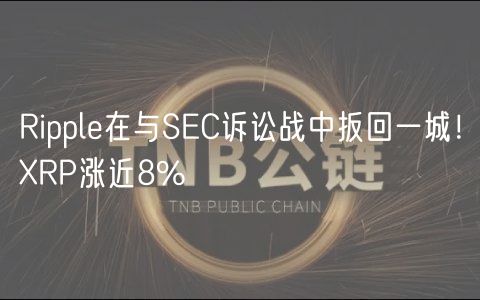 Rippl在与SC诉讼战中扳回一城！RP涨近8%