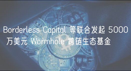 Bordrlss Capital 等联合发起 5000 万美元 Wormhol 跨链生态基金