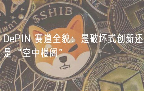 DPIN 赛道全貌：是破坏式创新还是“空中楼阁”