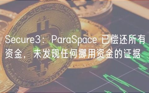 Scur3：ParaSpac 已偿还所有资金，未发现任何挪用资金的证据