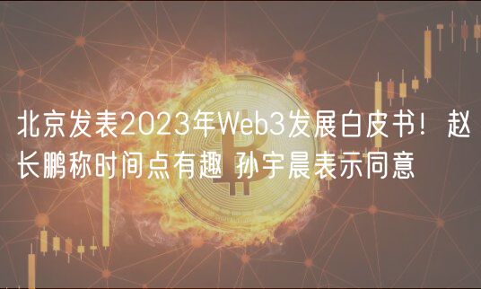 北京发表2023年Wb3发展白皮书！赵长鹏称时间点有趣 孙宇晨表示同意