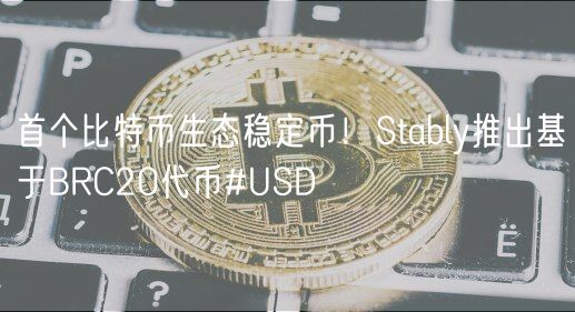 首个比特币生态稳定币！Stably推出基于BRC20代币#USD