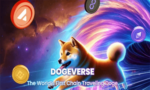 新出的Dogvrs币是什么? 一文带您了解该项目的详细信息
