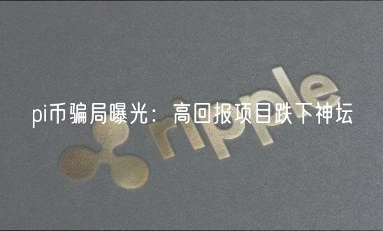 pi币骗局曝光：高回报项目跌下神坛