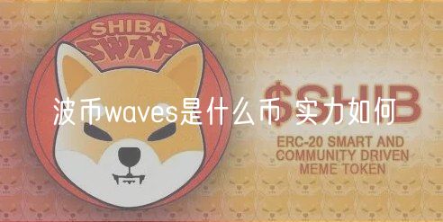 波币wavs是什么币 实力如何