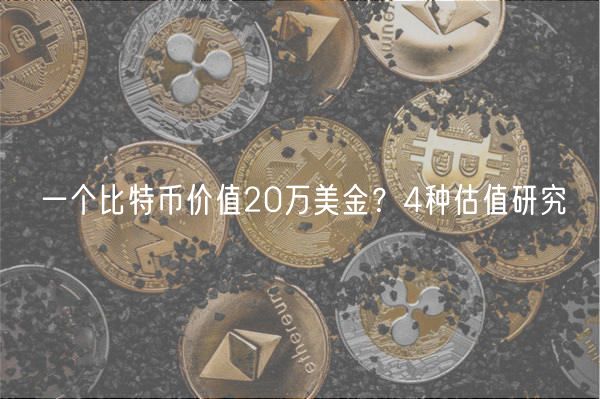 一个比特币价值20万美金？4种估值研究