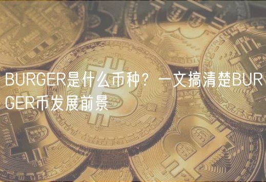 BURGR是什么币种？一文搞清楚BURGR币发展前景