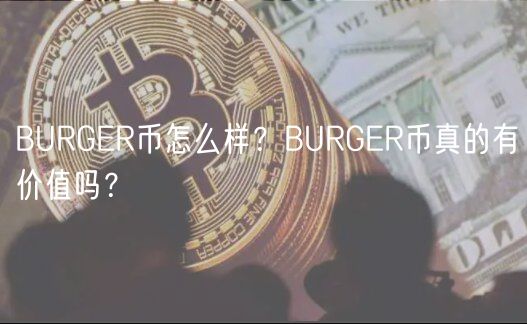 BURGR币怎么样？BURGR币真的有价值吗？