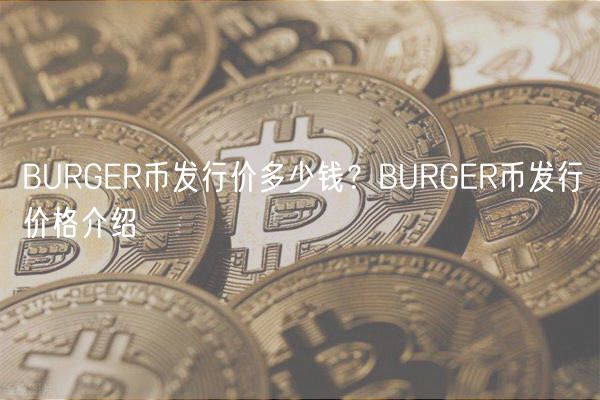 BURGR币发行价多少钱？BURGR币发行价格介绍
