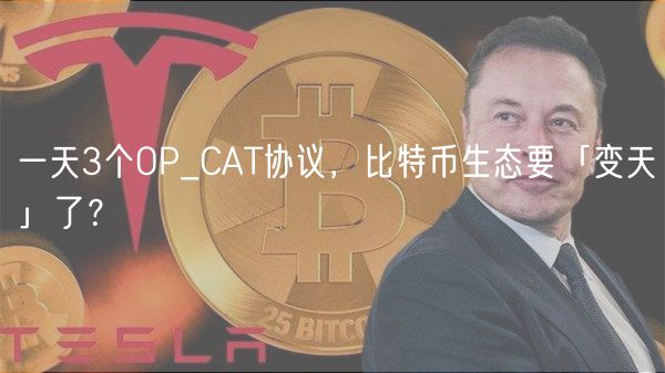 一天3个OP_CAT协议，比特币生态要「变天」了？