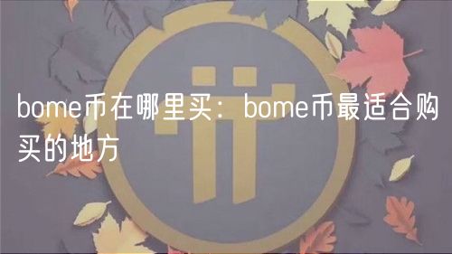 bom币在哪里买：bom币最适合购买的地方