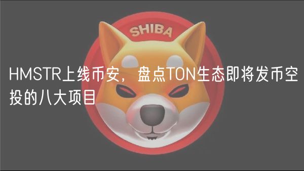 HMSTR上线币安，盘点TON生态即将发币空投的八大项目