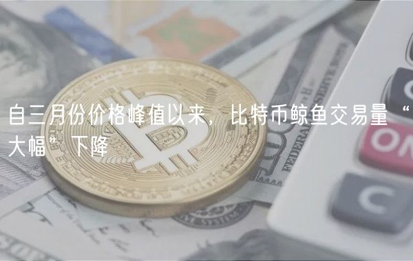 自三月份价格峰值以来，比特币鲸鱼交易量“大幅”下降